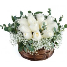 White Jewels - 12 Stems In Basket